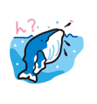 クジラのスタンプ vol.01（個別スタンプ：5）