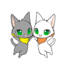 Twin kittens Zucku＆Pocke（個別スタンプ：13）