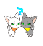 Twin kittens Zucku＆Pocke（個別スタンプ：18）