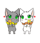 Twin kittens Zucku＆Pocke（個別スタンプ：36）