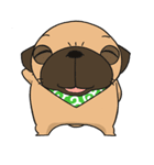 pug stamp（個別スタンプ：6）