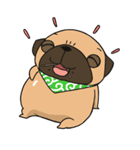 pug stamp（個別スタンプ：19）