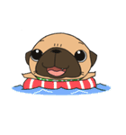 pug stamp（個別スタンプ：29）