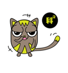 GoGoCat（個別スタンプ：6）