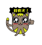 GoGoCat（個別スタンプ：12）