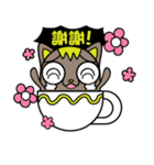 GoGoCat（個別スタンプ：39）