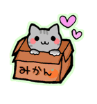 ころころこねこ。（個別スタンプ：15）