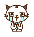 先輩☆ねこねこ（個別スタンプ：13）