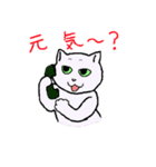 猫だけど？（個別スタンプ：5）