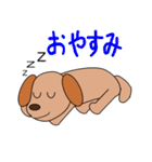 愛犬ちょこの一日。（個別スタンプ：28）