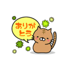 虎にゃんこと白にゃんこ（個別スタンプ：11）