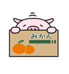 おしりぶた（個別スタンプ：15）