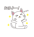 しろねこちゃん（個別スタンプ：1）