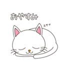 しろねこちゃん（個別スタンプ：4）