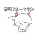 しろねこちゃん（個別スタンプ：17）