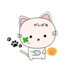 にゃんくろ（個別スタンプ：4）