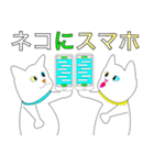 オッドアイ白猫たちの優雅な日常（個別スタンプ：3）