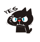 MEME CAT [EN]（個別スタンプ：15）