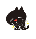 MEME CAT [EN]（個別スタンプ：25）