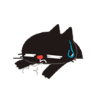 MEME CAT [EN]（個別スタンプ：35）