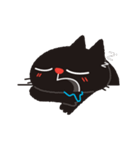 MEME CAT [EN]（個別スタンプ：39）