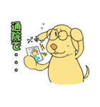 言いわ犬（個別スタンプ：10）