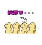 言いわ犬（個別スタンプ：15）