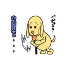 言いわ犬（個別スタンプ：22）