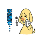 言いわ犬（個別スタンプ：34）