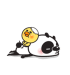 Chic Panda Ver.1（個別スタンプ：35）