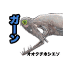 リアル深海生物（個別スタンプ：2）