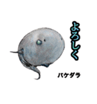 リアル深海生物（個別スタンプ：9）