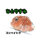 リアル深海生物（個別スタンプ：16）