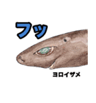 リアル深海生物（個別スタンプ：29）