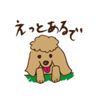 広島じゃ犬（個別スタンプ：13）