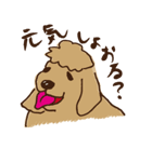 広島じゃ犬（個別スタンプ：16）