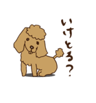 広島じゃ犬（個別スタンプ：22）