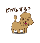 広島じゃ犬（個別スタンプ：23）