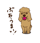 広島じゃ犬（個別スタンプ：31）