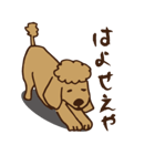 広島じゃ犬（個別スタンプ：38）