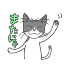 やまねこ社長と猫耳娘（個別スタンプ：36）