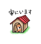 犬と猫のスタンプ（個別スタンプ：33）