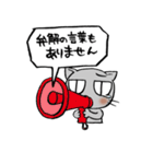 謝罪ねこ（個別スタンプ：17）