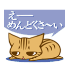 根暗ちゃとらねこ（個別スタンプ：5）