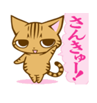 根暗ちゃとらねこ（個別スタンプ：13）