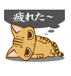 根暗ちゃとらねこ（個別スタンプ：20）