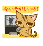 根暗ちゃとらねこ（個別スタンプ：34）