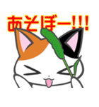 元気みけねこ（個別スタンプ：1）