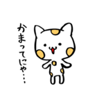 楽描き水玉ねこたん（個別スタンプ：1）