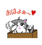 ハコネコめいちゃん  文字付きねこスタンプ（個別スタンプ：1）